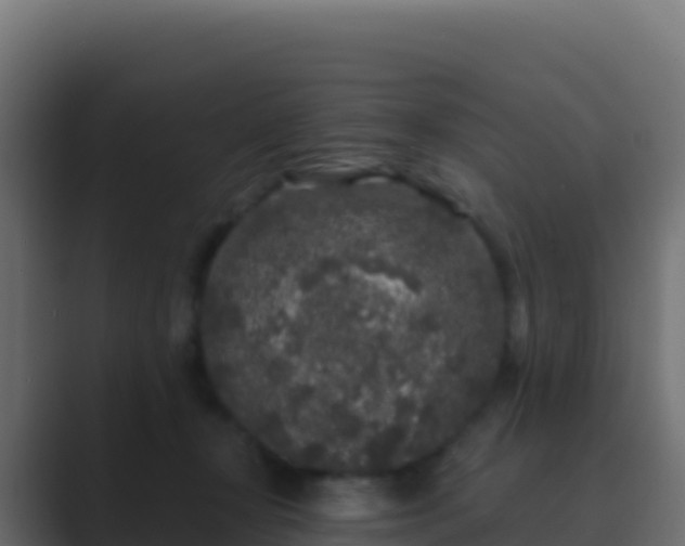 X0000089740367200706281612