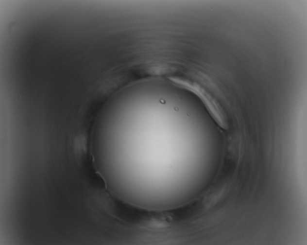 X0000089740368200706281612