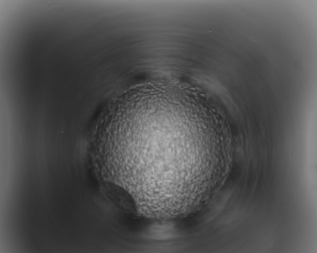 X0000089740369200706281612