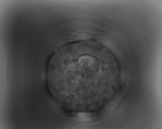 X0000089740371200706281612