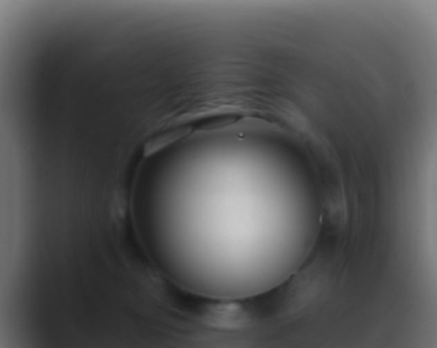 X0000089740374200706281612