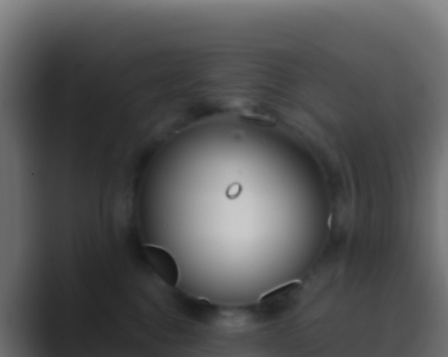 X0000089740376200706281612