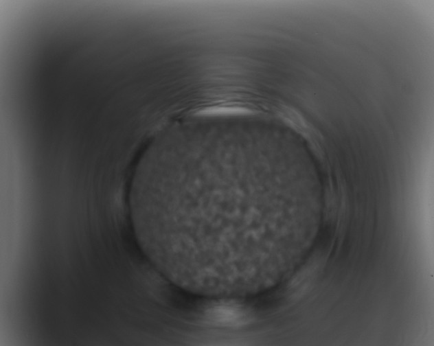 X0000089740377200706281612