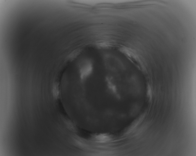 X0000089740383200706281612