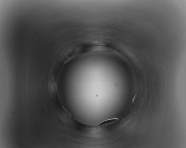 X0000089740384200706281612