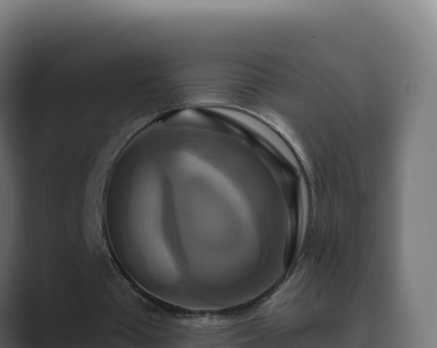 X0000089740385200706281611