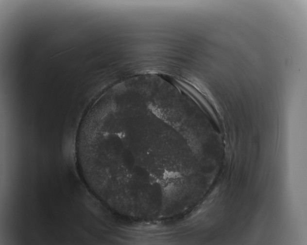 X0000089740386200706281611