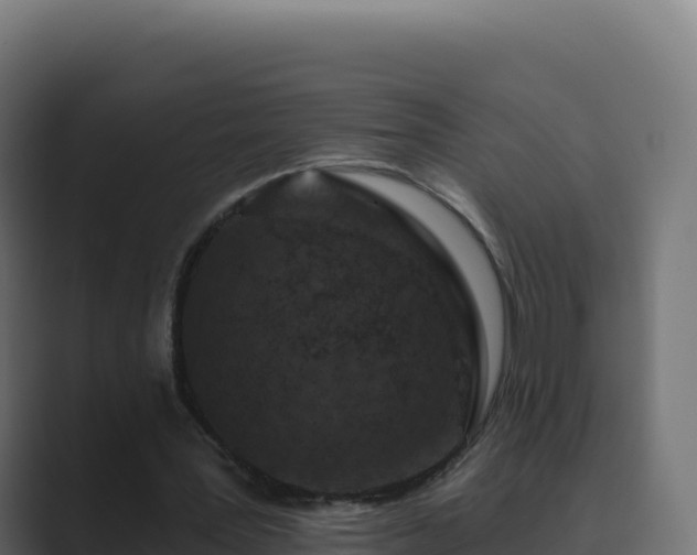 X0000089740387200706281611