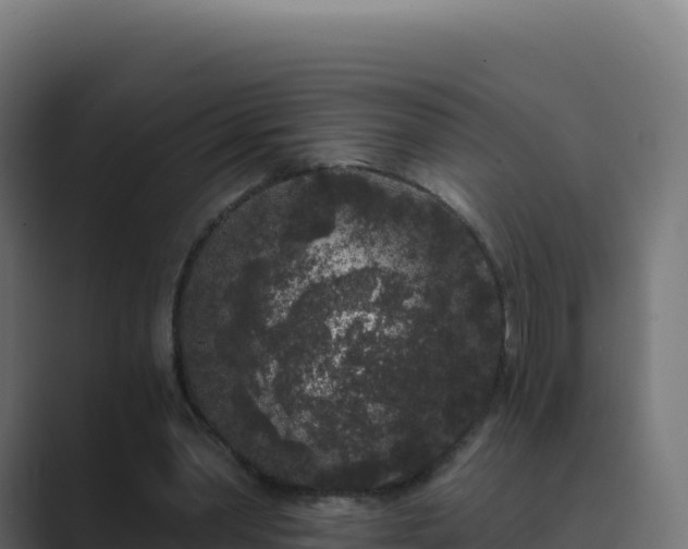 X0000089740390200706281611