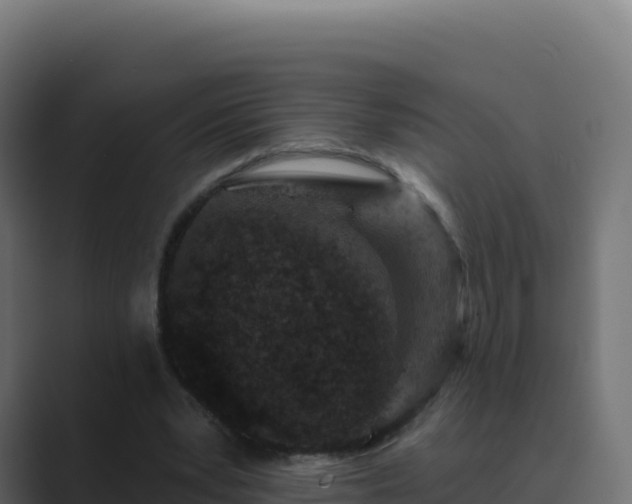 X0000089740391200706281611