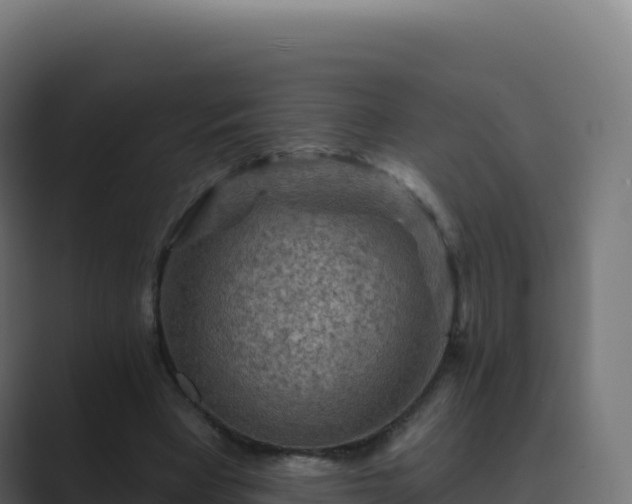 X0000089740393200706281611