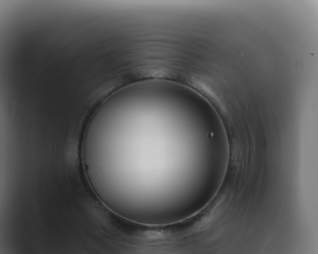 X0000089740394200706281611