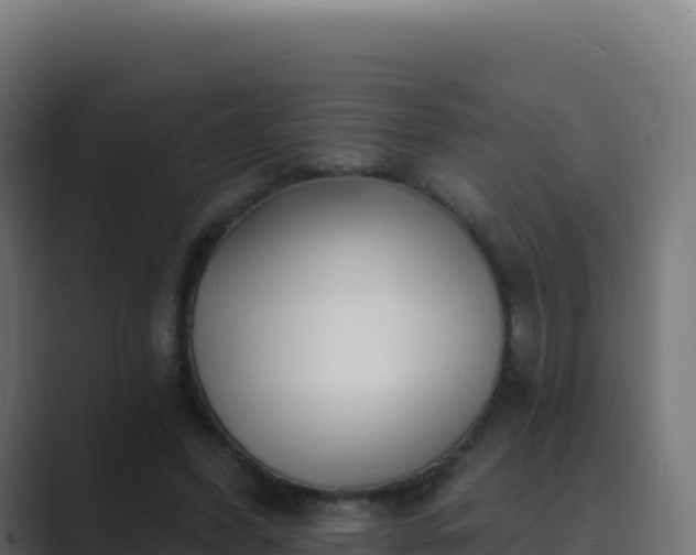 X0000089740396200706281611