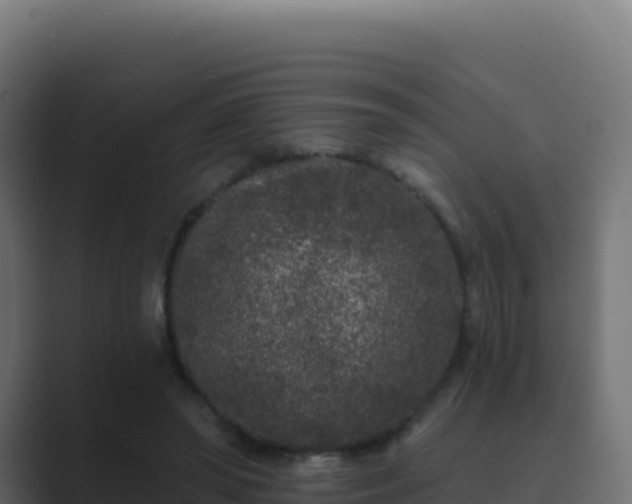 X0000089740398200706281611