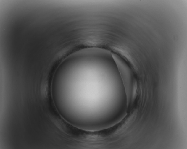 X0000089740400200706281611