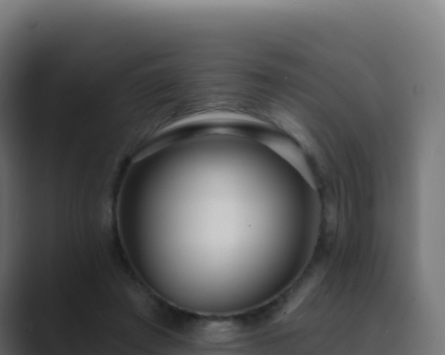 X0000089740401200706281611