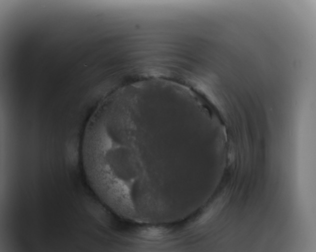 X0000089740402200706281611