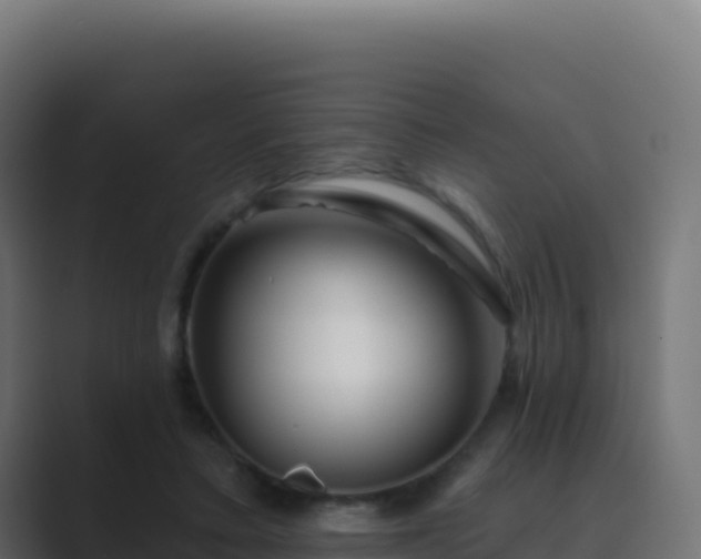 X0000089740403200706281611