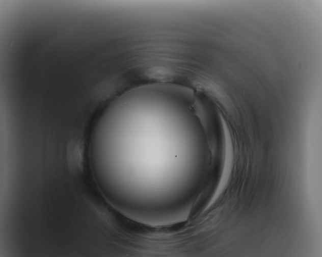 X0000089740404200706281611