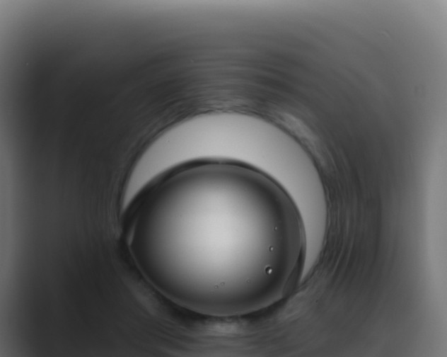 X0000089740405200706281611