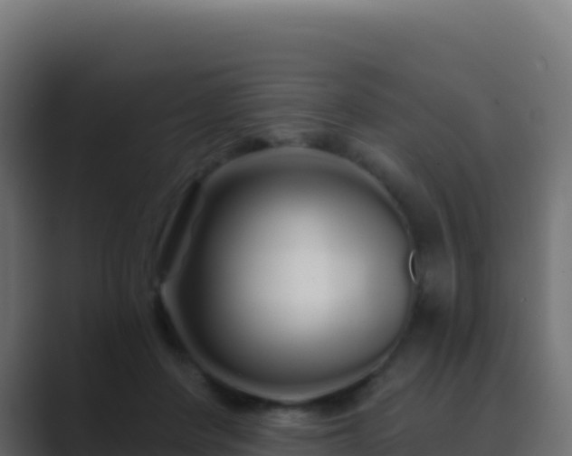 X0000089740408200706281611