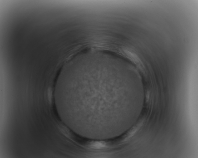 X0000089740409200706281611