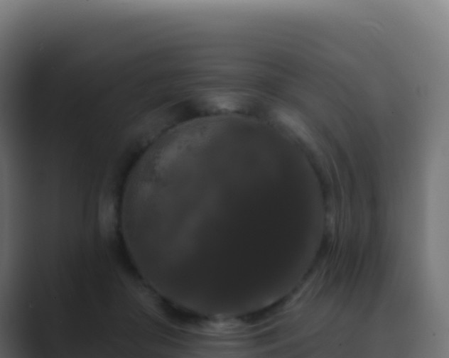 X0000089740410200706281611