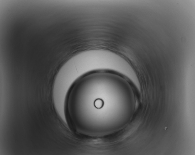 X0000089740411200706281611