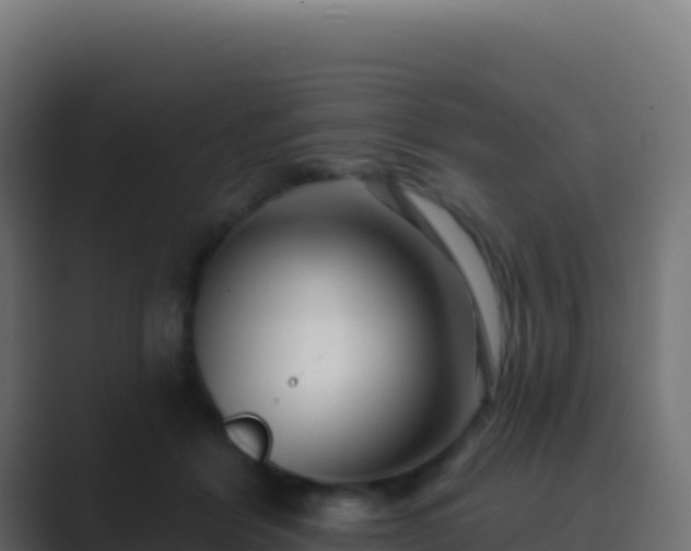 X0000089740412200706281611