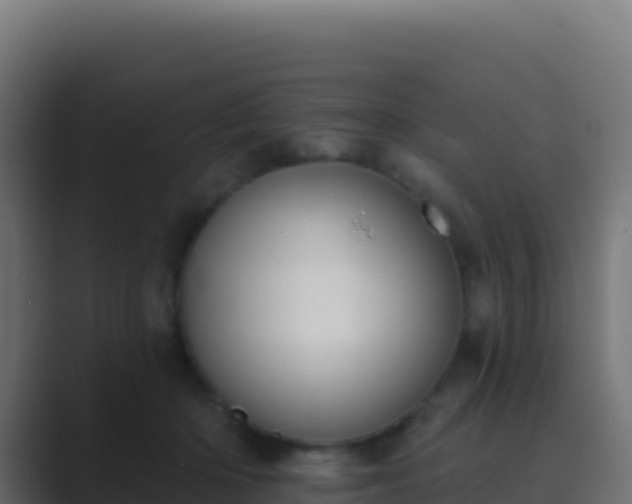 X0000089740414200706281611