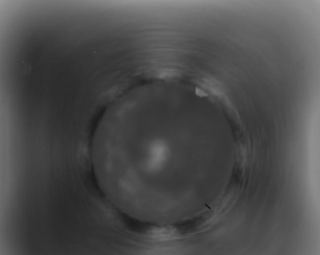 X0000089740415200706281611