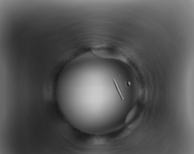 X0000089740416200706281611