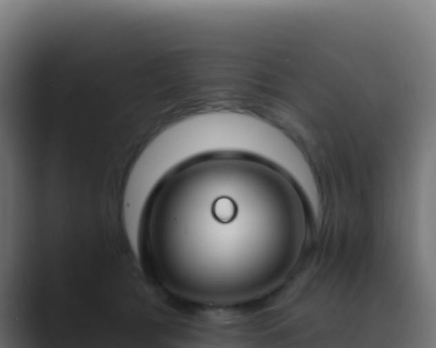 X0000089740417200706281611