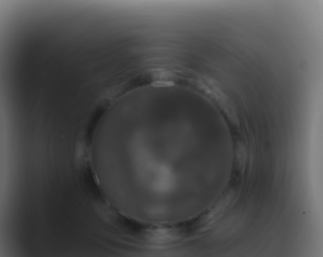 X0000089740419200706281611