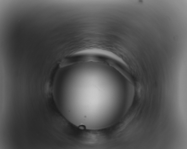 X0000089740420200706281611