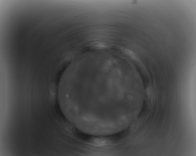 X0000089740423200706281611