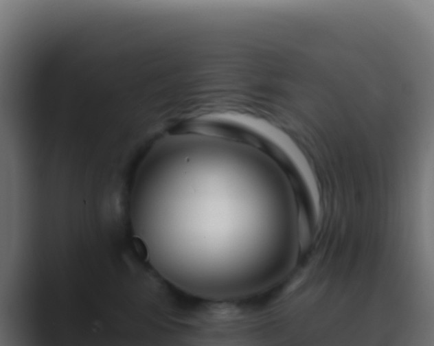 X0000089740424200706281611