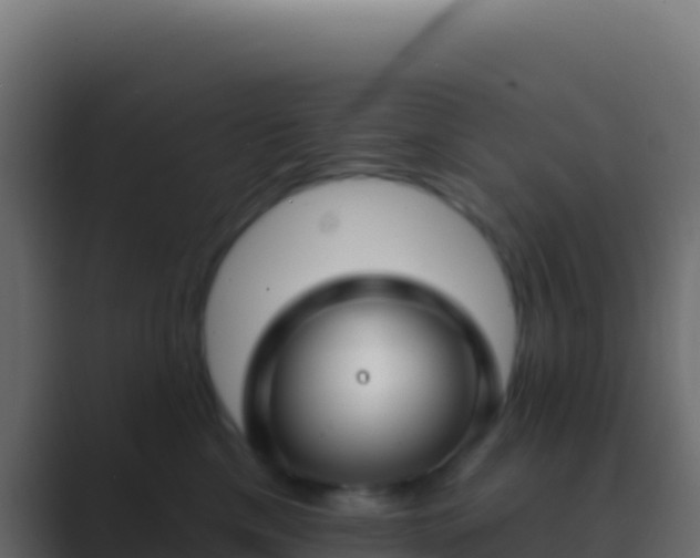 X0000089740425200706281611