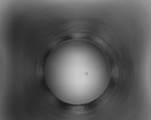 X0000089740426200706281611