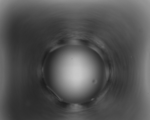 X0000089740429200706281611