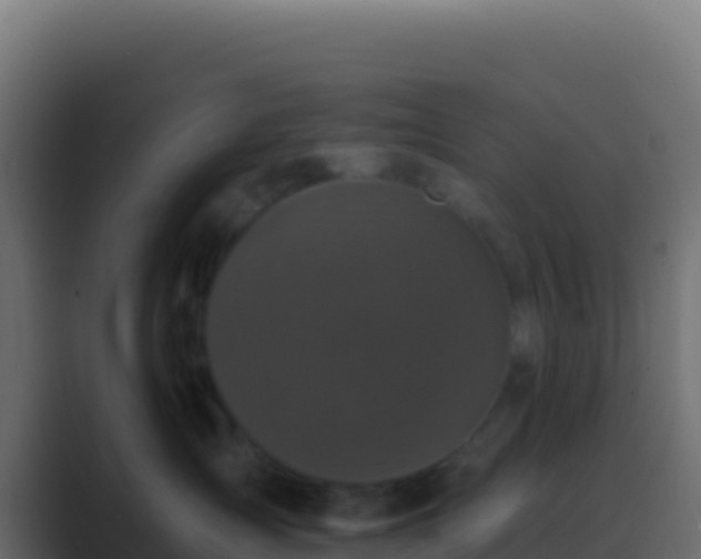 X0000089740431200706281611