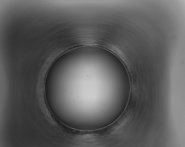 X0000089740433200706281610