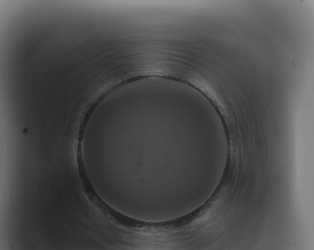 X0000089740434200706281610