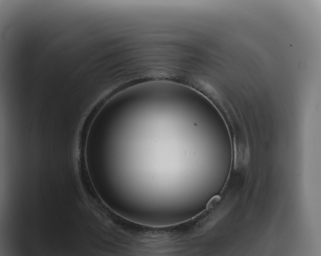 X0000089740435200706281610