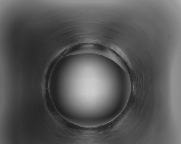 X0000089740436200706281610