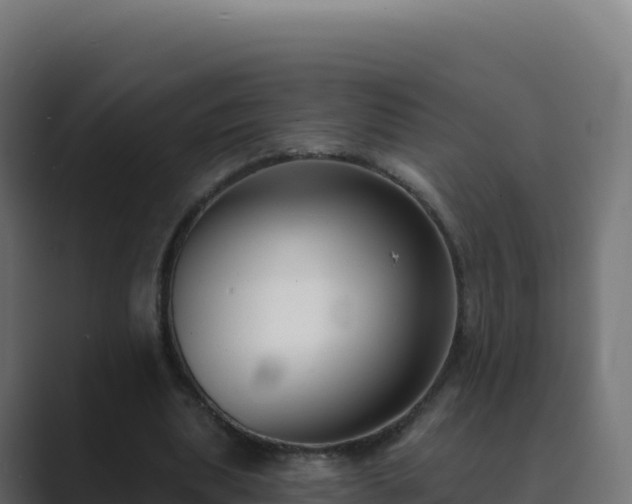 X0000089740439200706281610