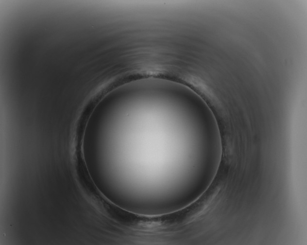 X0000089740440200706281610