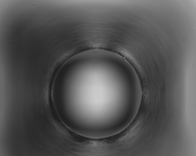 X0000089740442200706281610