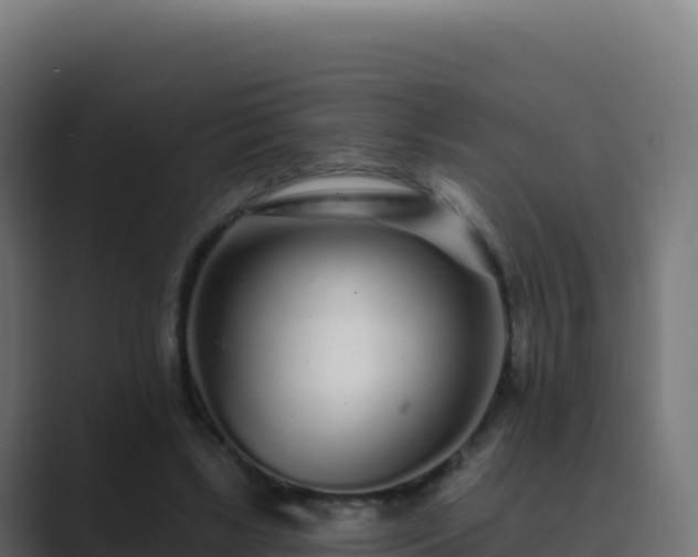 X0000089740443200706281610