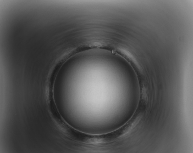 X0000089740444200706281610